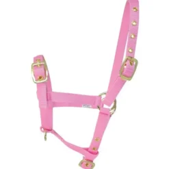 HY Foal Headcollar