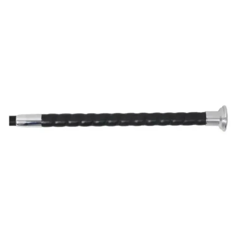 HySchool GP Riding Whip