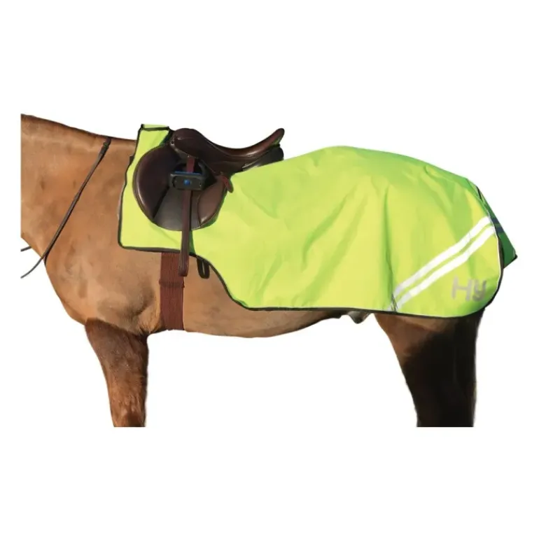 HyVIZ Reflector Exercise Sheet