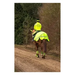HyVIZ Reflector Exercise Sheet