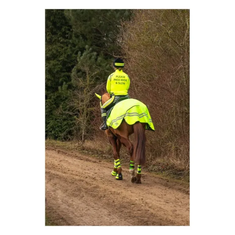 HyVIZ Reflector Exercise Sheet