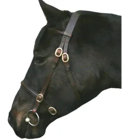 IV Horse In Hand Bridle