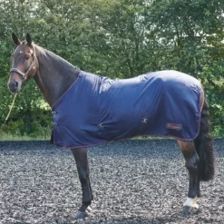 John Whitaker Rastrick Summer Sheet