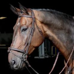 John Whitaker Ready to Ride Snaffle Bridle