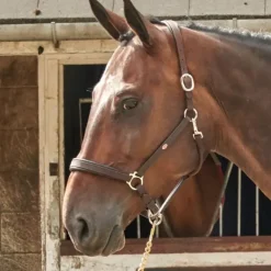 John Whitaker Ready to Ride Headcollar