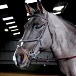 John Whitaker Ready to Ride Mexican Bridle