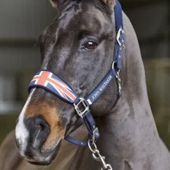 John Whitaker Union Jack Headcollar