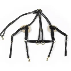 John Whitaker Valencia 5 Point Breastplate