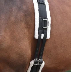 Kincade Lunge Roller With Fleece Padding Black Cob