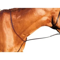 Kincade Standing Martingale