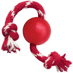 Kong Ball With Rope