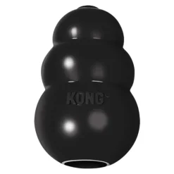 Kong Dotz Triangle Dog Toy