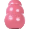Kong Puppy