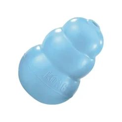 Kong Puppy