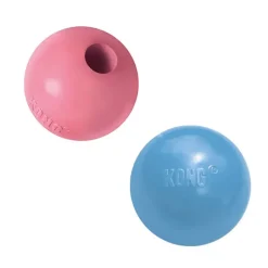 Kong Puppy Ball