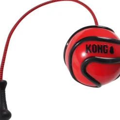 Kong Tyre Puppy Toy