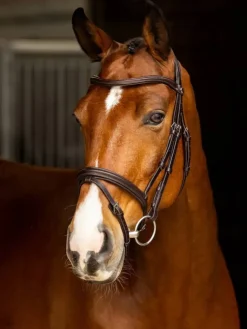 LeMieux Arika Flash Bridle
