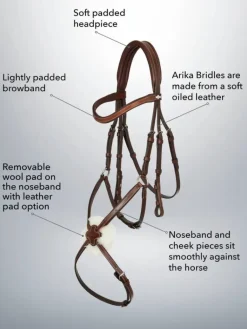 LeMieux Arika Grackle Bridle