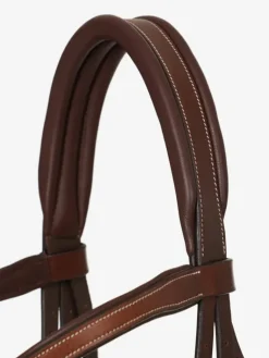 LeMieux Arika Grackle Bridle