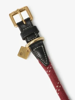 Lemieux Ascot Rope Dog Collar