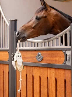 LeMieux Banana Horse Toy