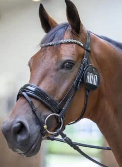 LeMieux Bridle Number Holder