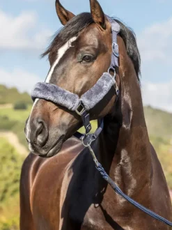 LeMieux Comfort Headcollar