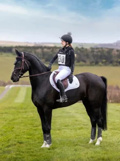 LeMieux Eventing Bib