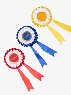 LeMieux Hobby Horse Rosette Pack Multi