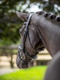 LeMieux Kudos Patent Dressage Bridle