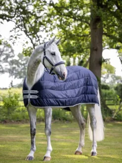 LeMieux Liner Rug
