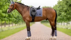 LeMieux Loire Classic Dressage Square SS24