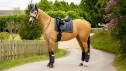 LeMieux Loire Classic Dressage Square SS25