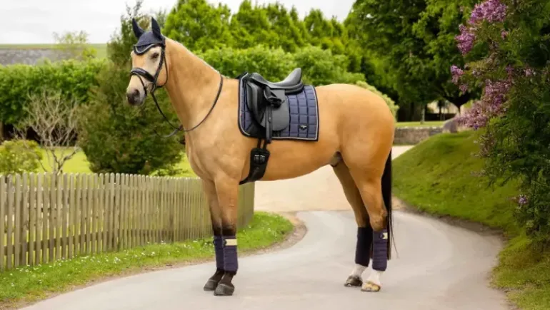 LeMieux Loire Classic Dressage Square SS25