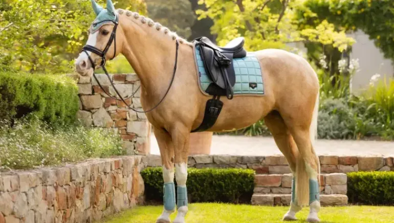 LeMieux Loire Classic Dressage Square SS25