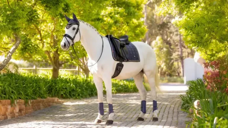 LeMieux Loire Classic Dressage Square SS25