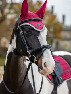 LeMieux Loire Fly Hood AW24