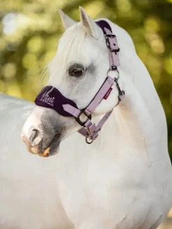 LeMieux Mini Vogue Fleece Headcollar and Rope