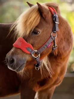 LeMieux Mini Vogue Fleece Headcollar and Rope