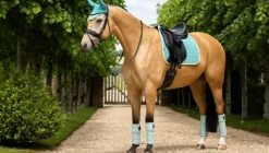 LeMieux Suede Dressage Square SS25
