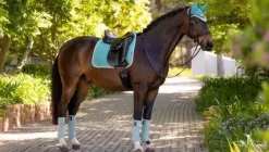 LeMieux Suede Dressage Square SS25