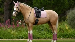 LeMieux Suede Dressage Square SS25