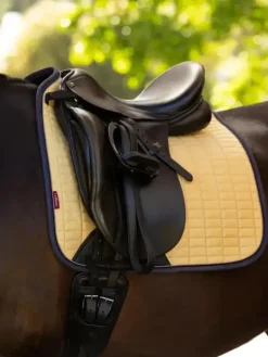 LeMieux Suede Dressage Square SS25