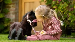 LeMieux Toy Pony Bubbles