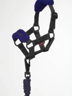 LeMieux Toy Pony Headcollar
