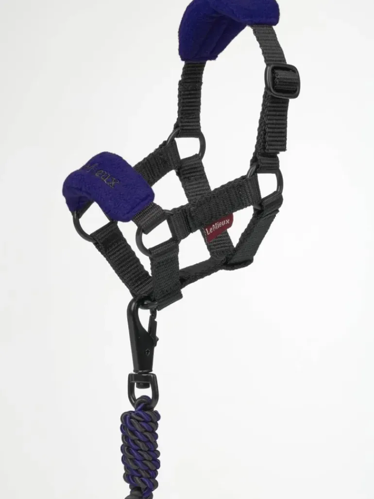 LeMieux Toy Pony Headcollar