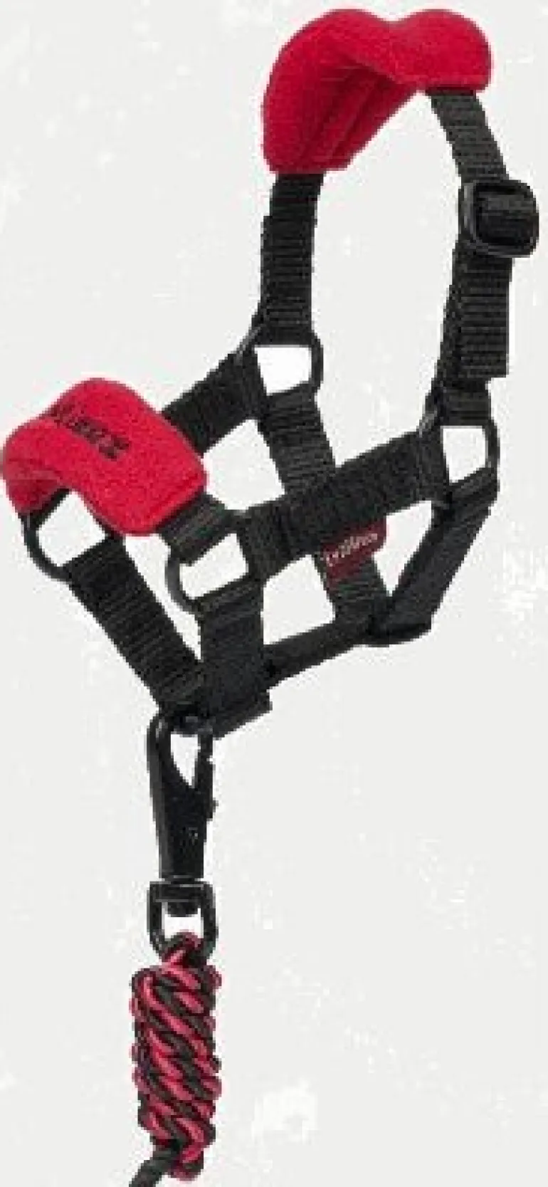 LeMieux Toy Pony Headcollar