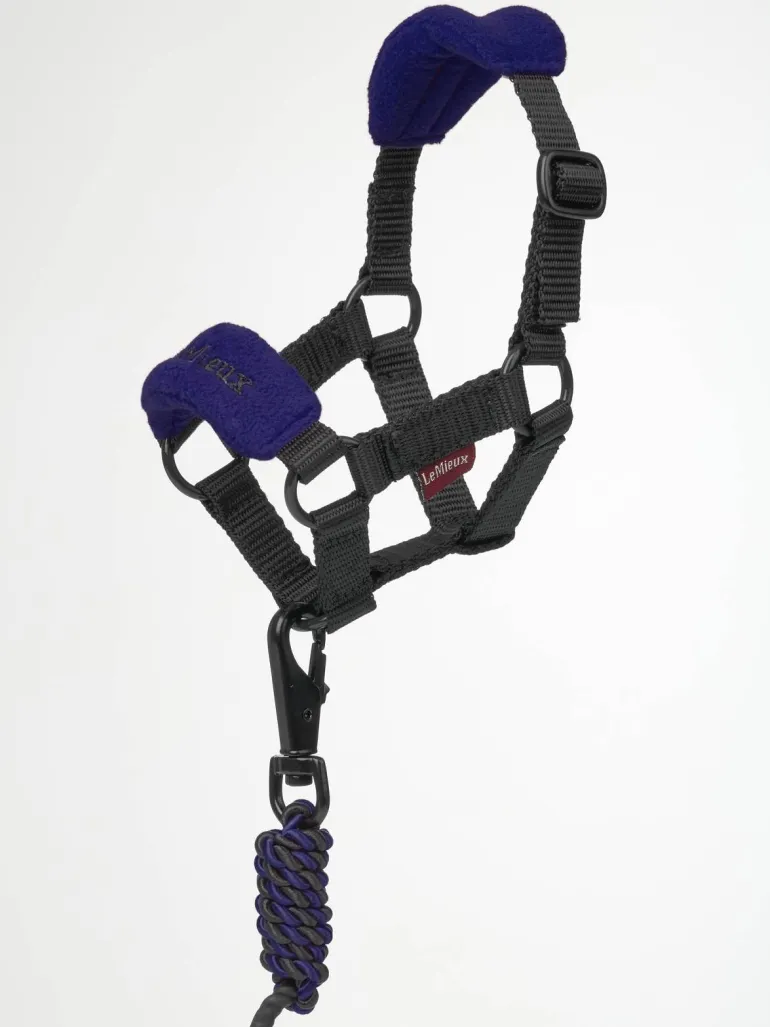 LeMieux Toy Pony Headcollar