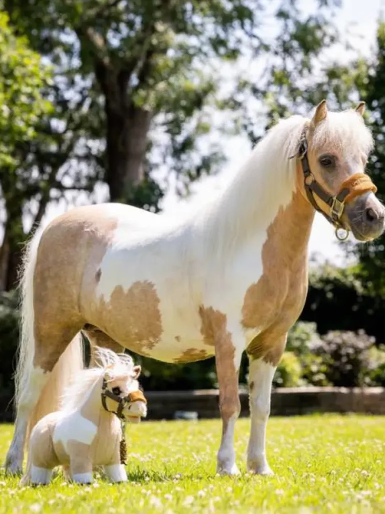 LeMieux Toy Pony Lemon
