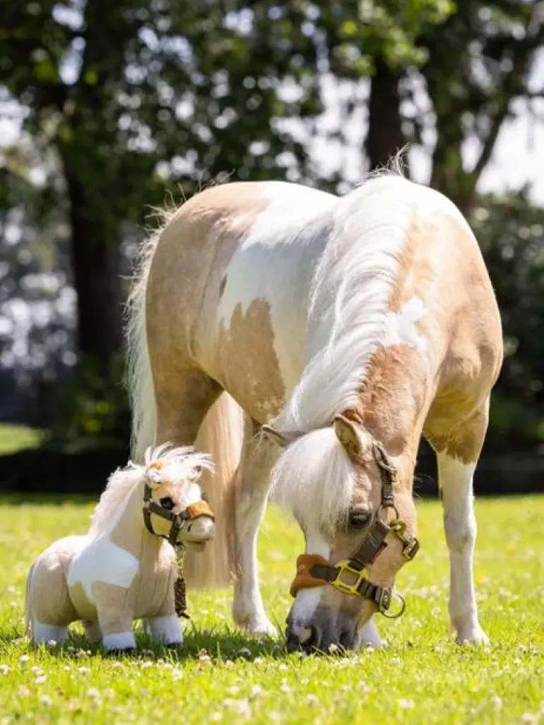 LeMieux Toy Pony Lemon
